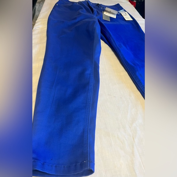 Melissa McCarthy NWT Slimming Blue Pants !! - Picture 12 of 16